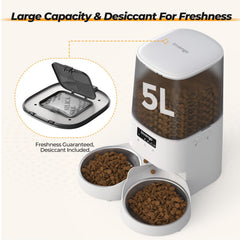 Invengo feeder with two stainless steel bowls for balanced meals