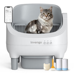 Invengo open-top design enables easy cat entry and spacious lounging.