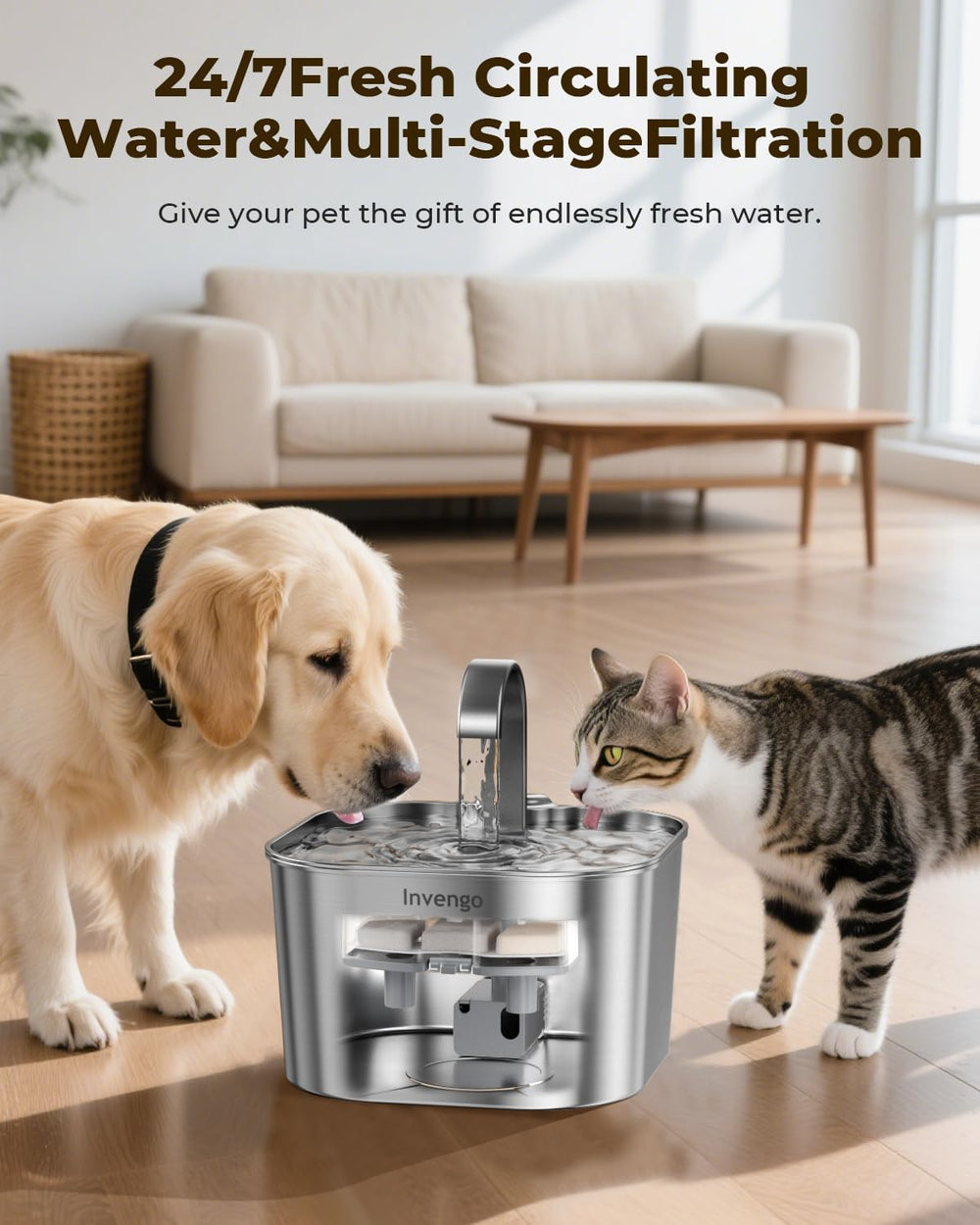 Invengo replacement filters for cat water fountain