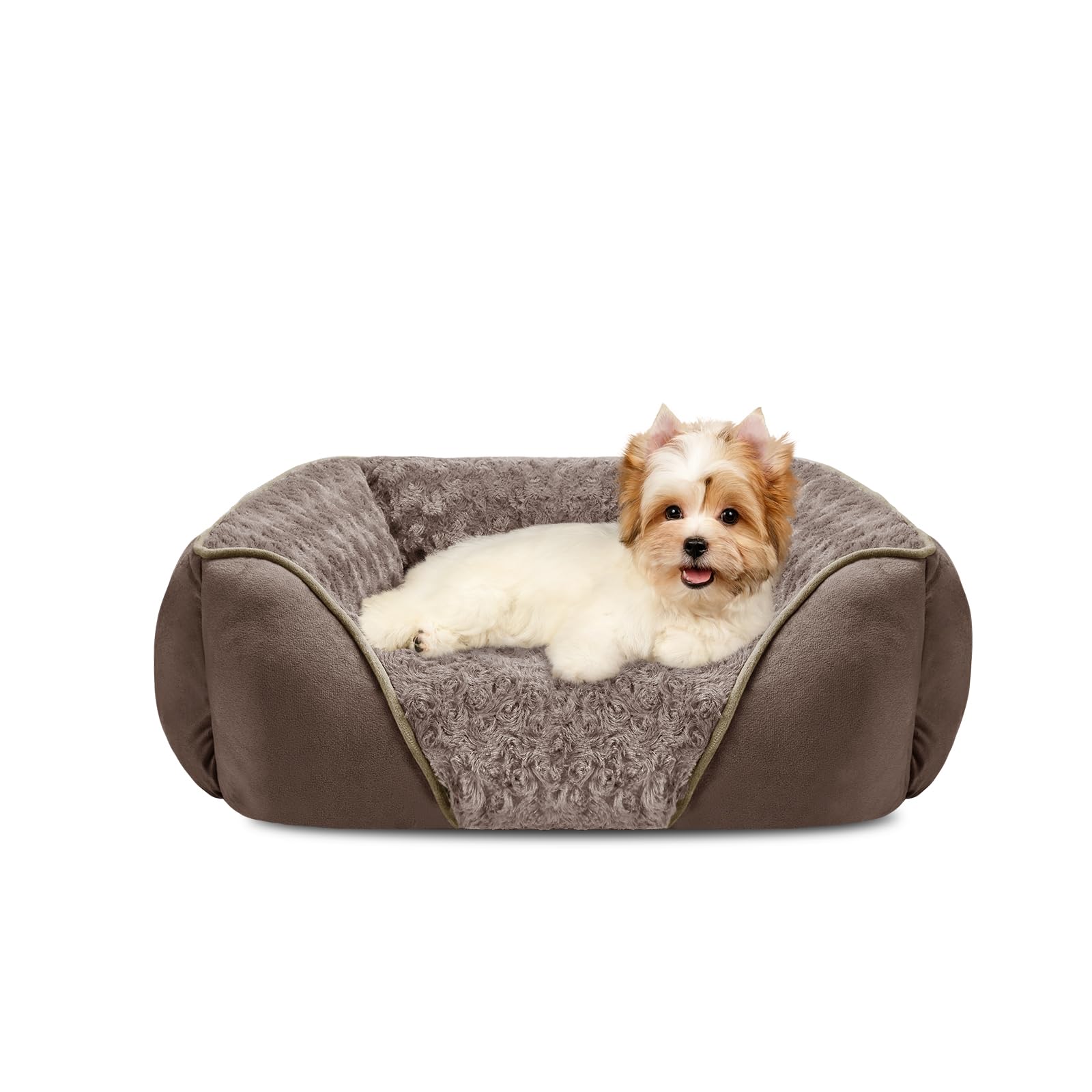 INVENHO small dog bed full view showing rectangle shape and inviting plush support for tiny dogs