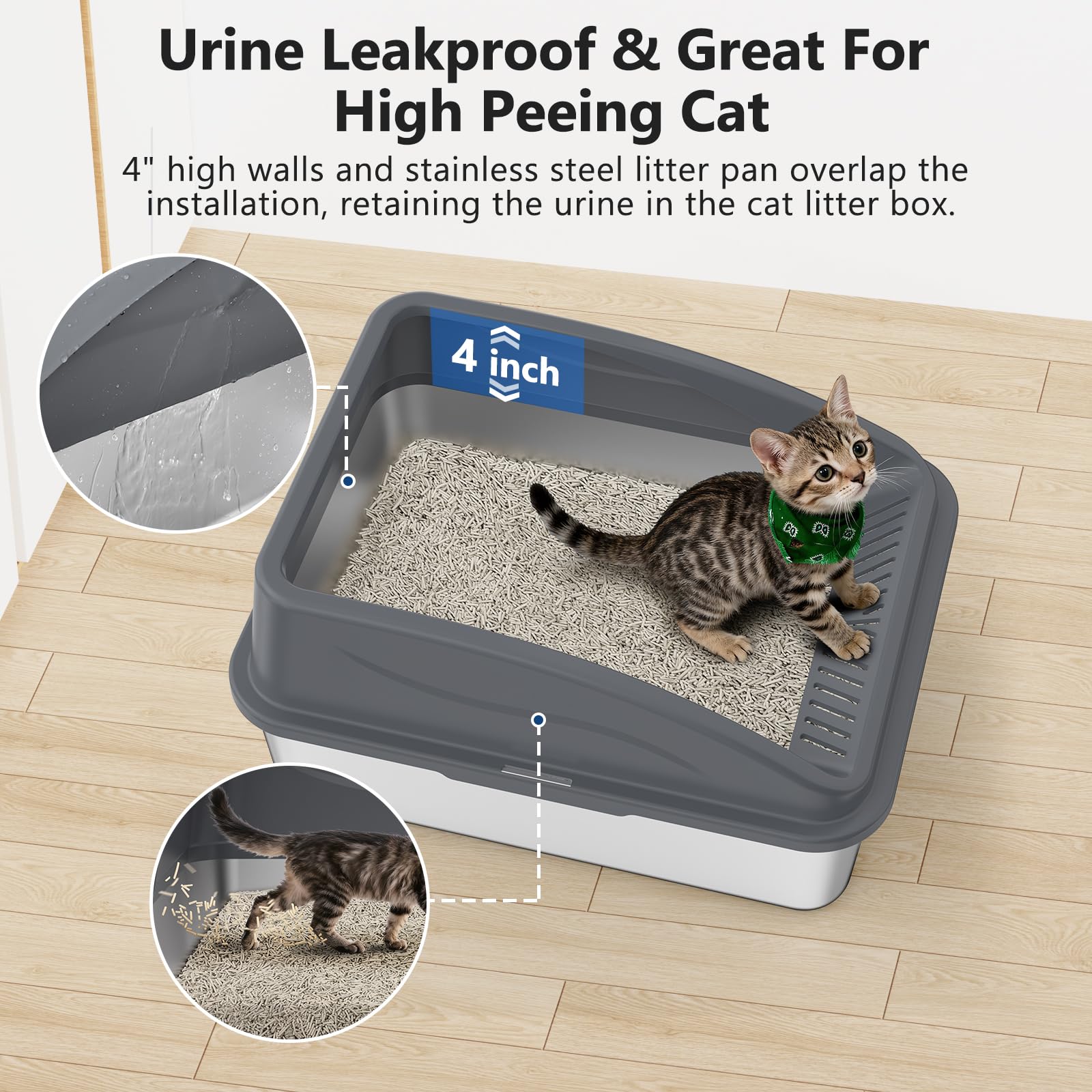 INVENHO lid buckle keeps top secure during cat exits