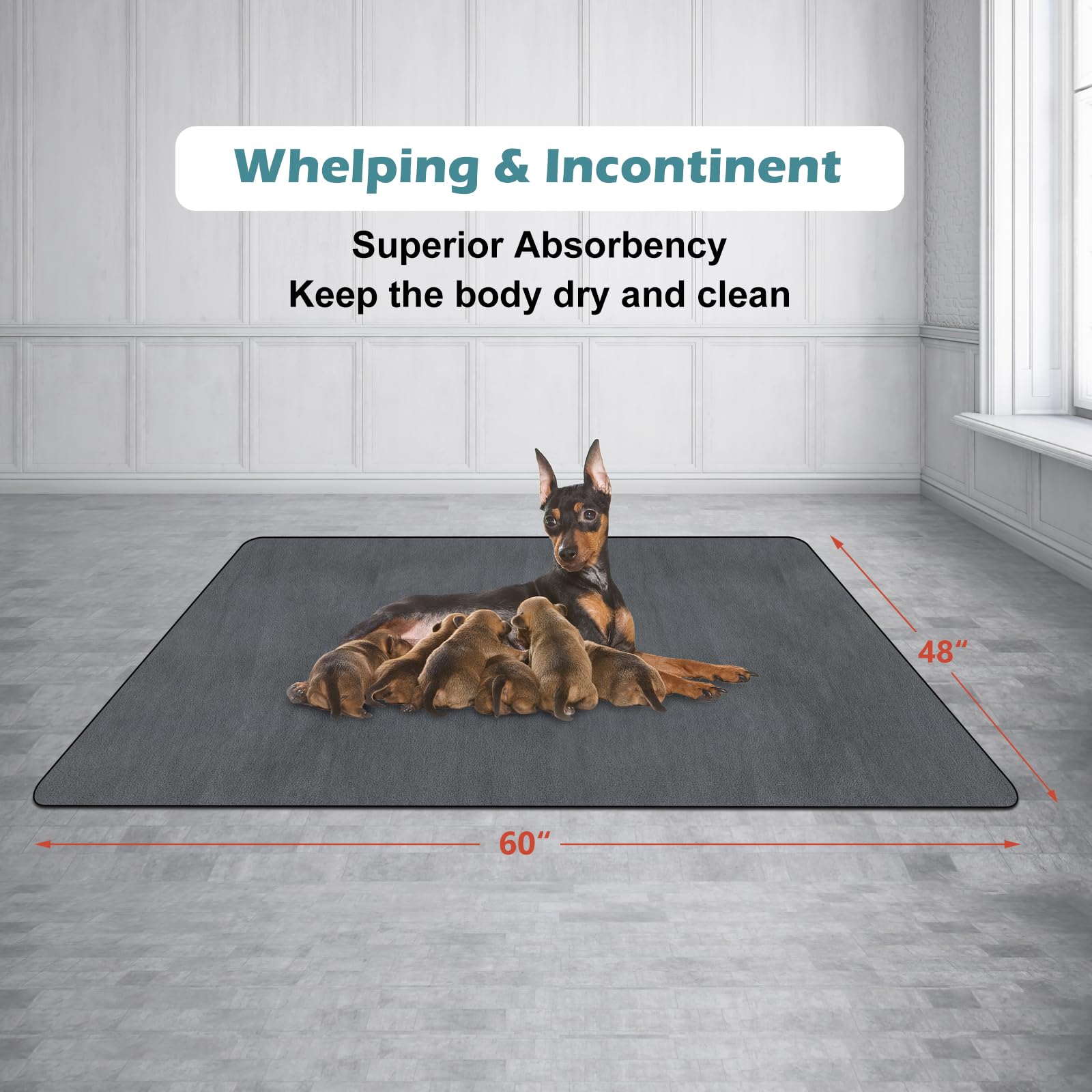 INVENHO washable dog pee pads travel-ready for crates and carriers