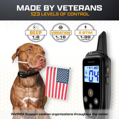 INVIROX 2026 Edition long-range e-collar shown during off-leash practice