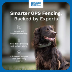 Invisible Fence app showing boundaries and tracking for precise location awareness