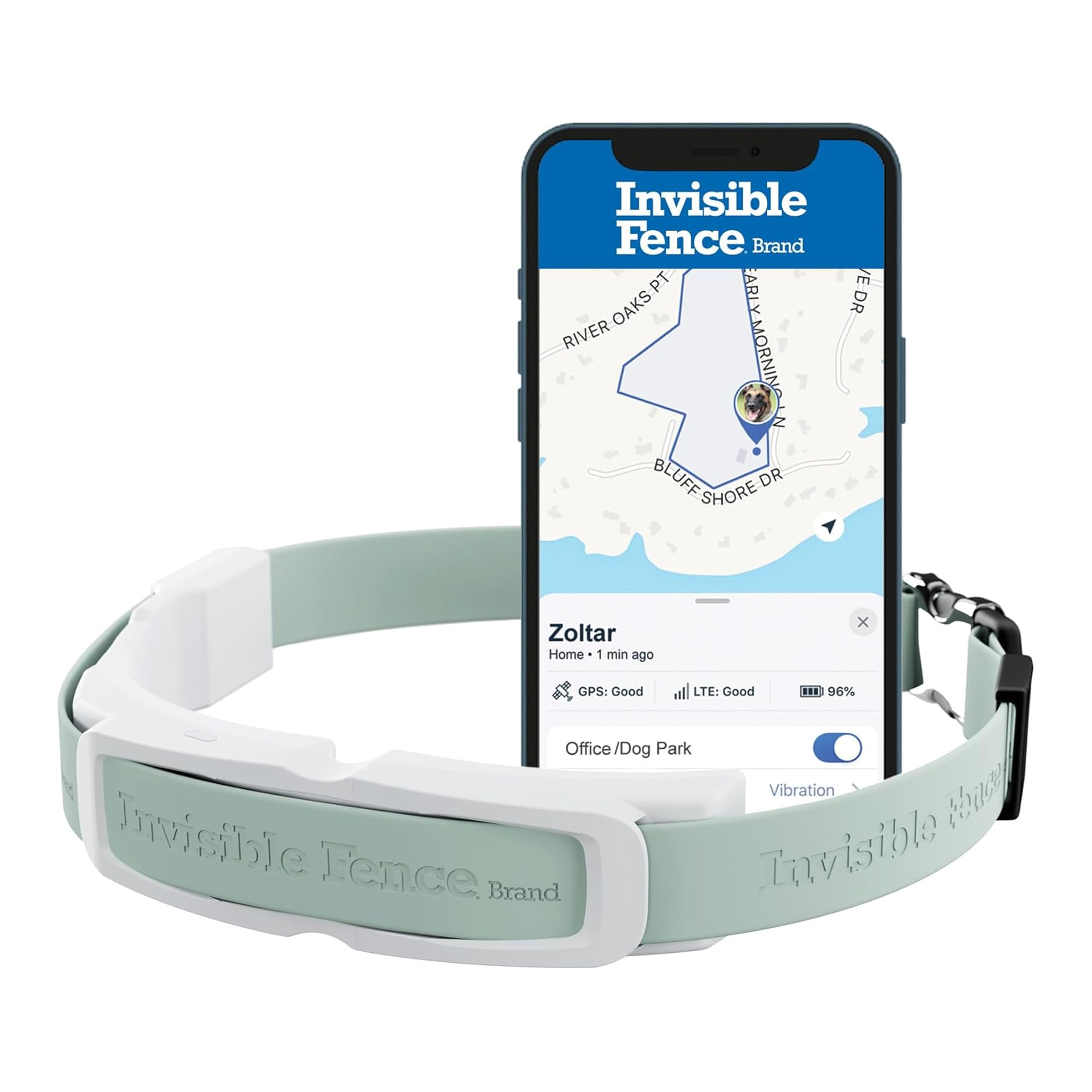 Invisible Fence GPS dog collar on a medium dog with real-time tracking