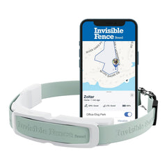 Invisible Fence GPS dog collar on a medium dog with real-time tracking