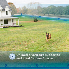 Invisible Fence training flags set helps mark virtual boundaries during setup
