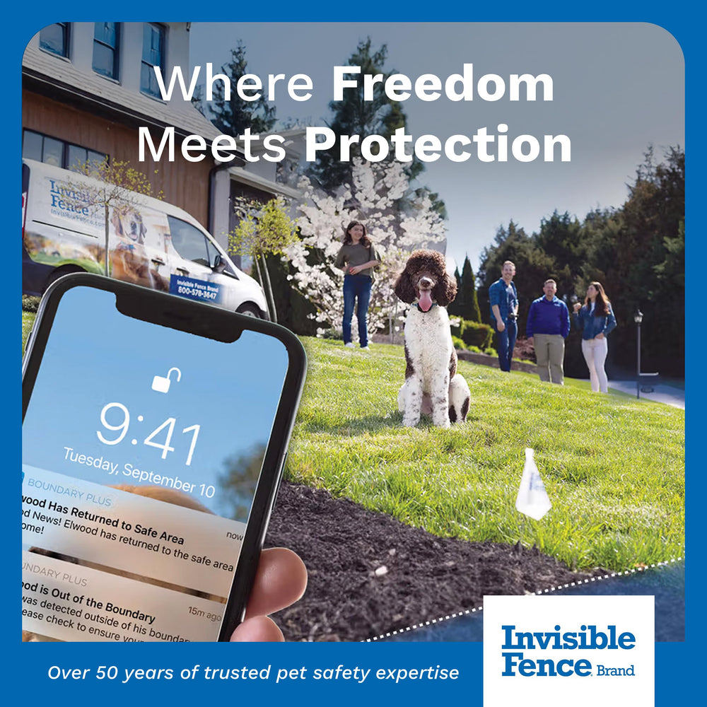 Invisible Fence training videos app simplifies setup and boundary training