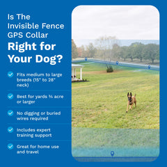 Invisible Fence waterproof collar ready for all-weather outdoor use
