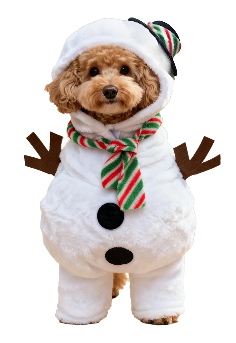 IOICYBF Snowman hoodie front view for cozy holiday wear