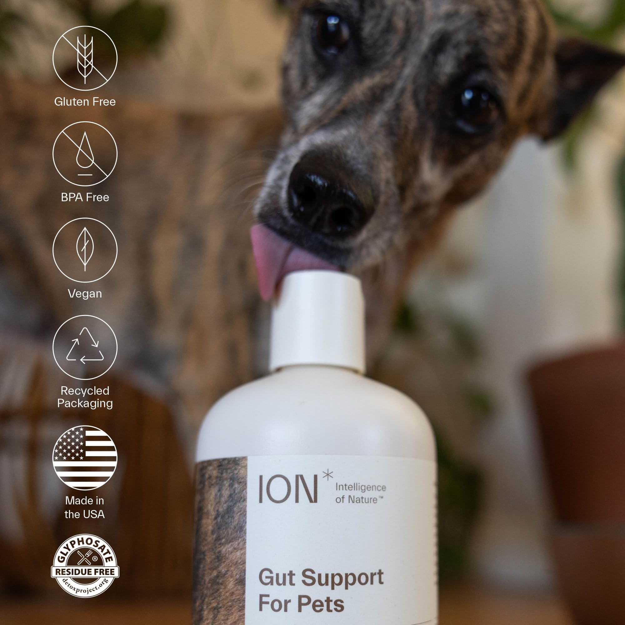 ION Vital Immunity Drink Mix elderberry flavor close-up highlighting sensory appeal.
