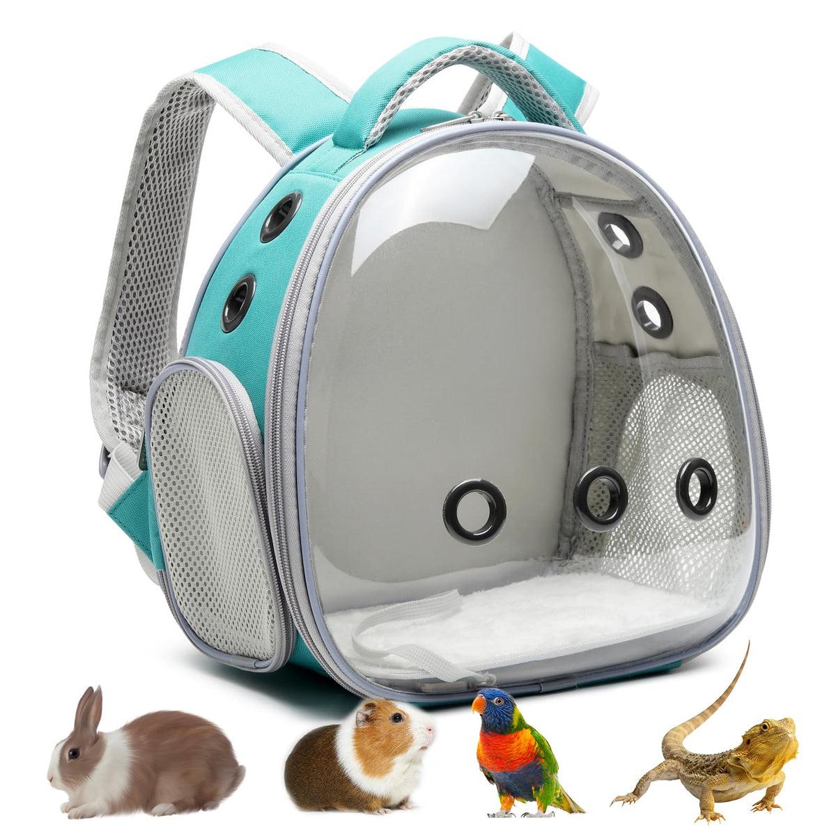 ioview portable travel pet backpack green view, spacious interior for small animals during outings.