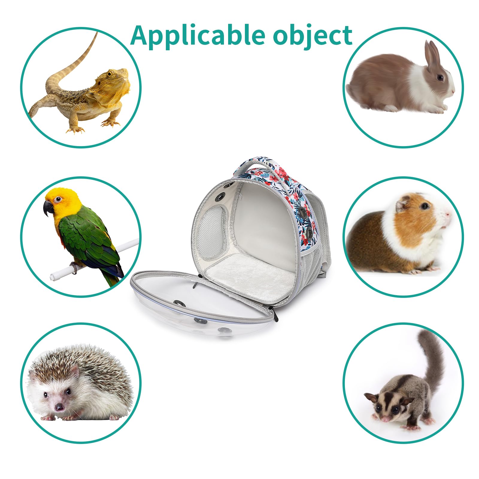 ioview travel pet backpack bubble window lets you supervise your pet on the go.