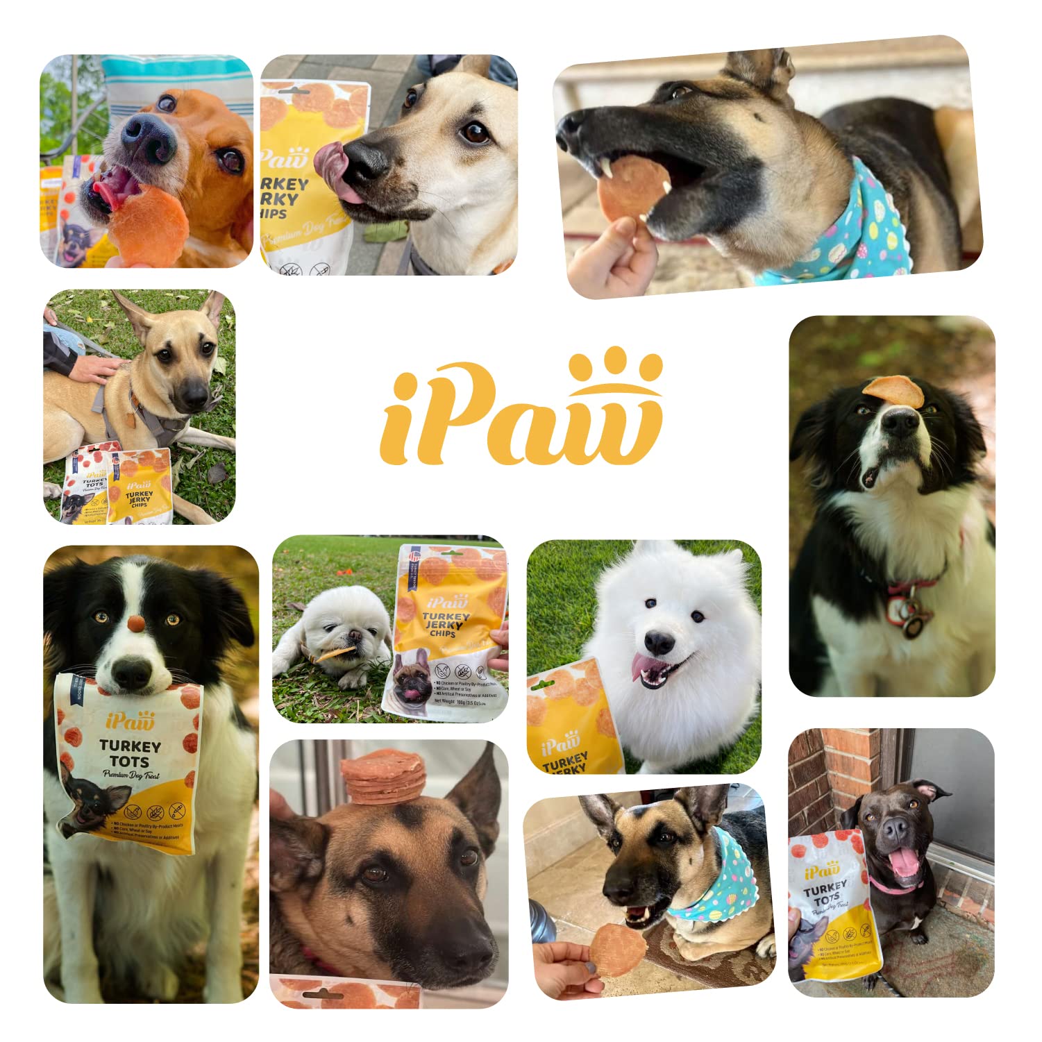 iPaw chips pavo tamaño pequeño para premios en entrenamiento.