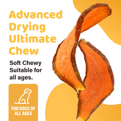 iPaw Sweet Potato Chews bag closeup showing natural hypoallergenic easy-to-digest formula