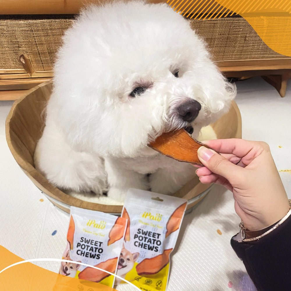 iPaw Sweet Potato Chews two-pack image emphasizes value and convenience