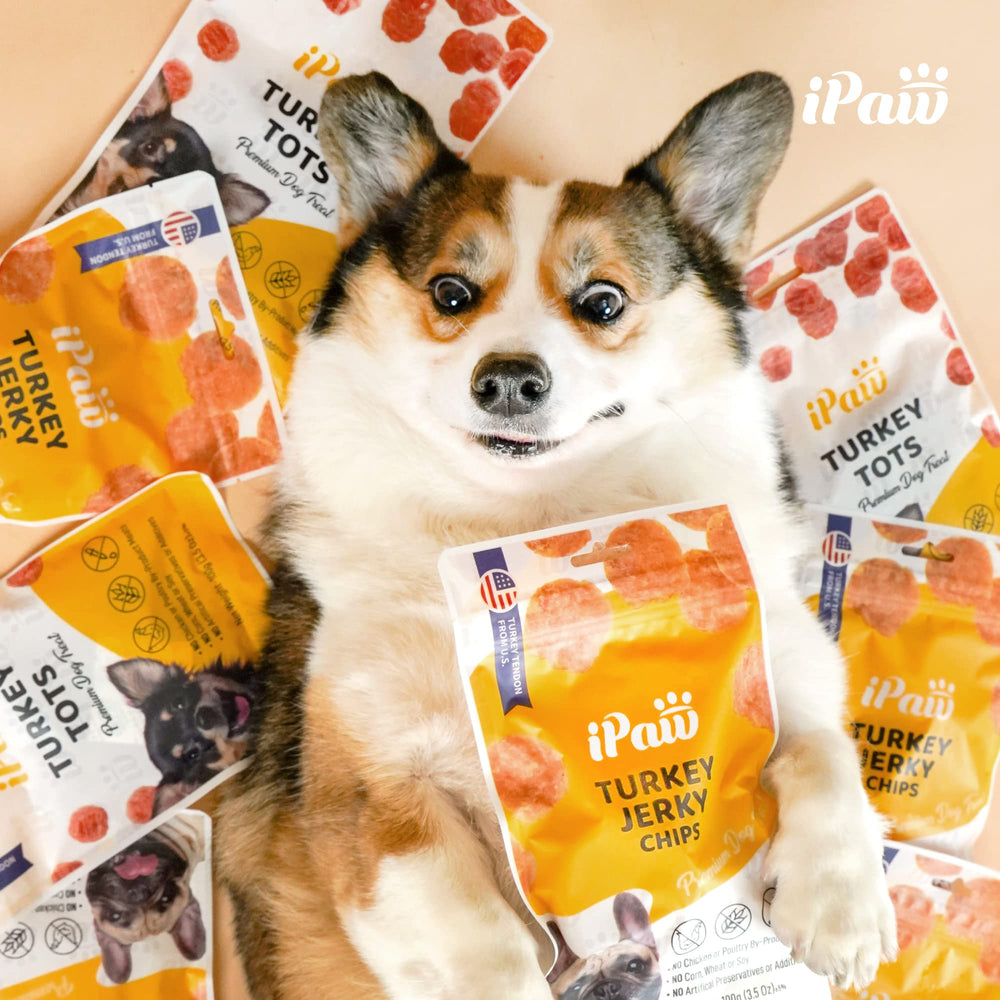 iPaw Tots de Pollo, apto para todas las edades, snack suave y seguro.