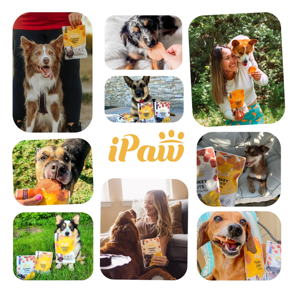 iPaw Tots de Pollo: recompensa sabrosa para paseos y sesiones de adiestramiento.