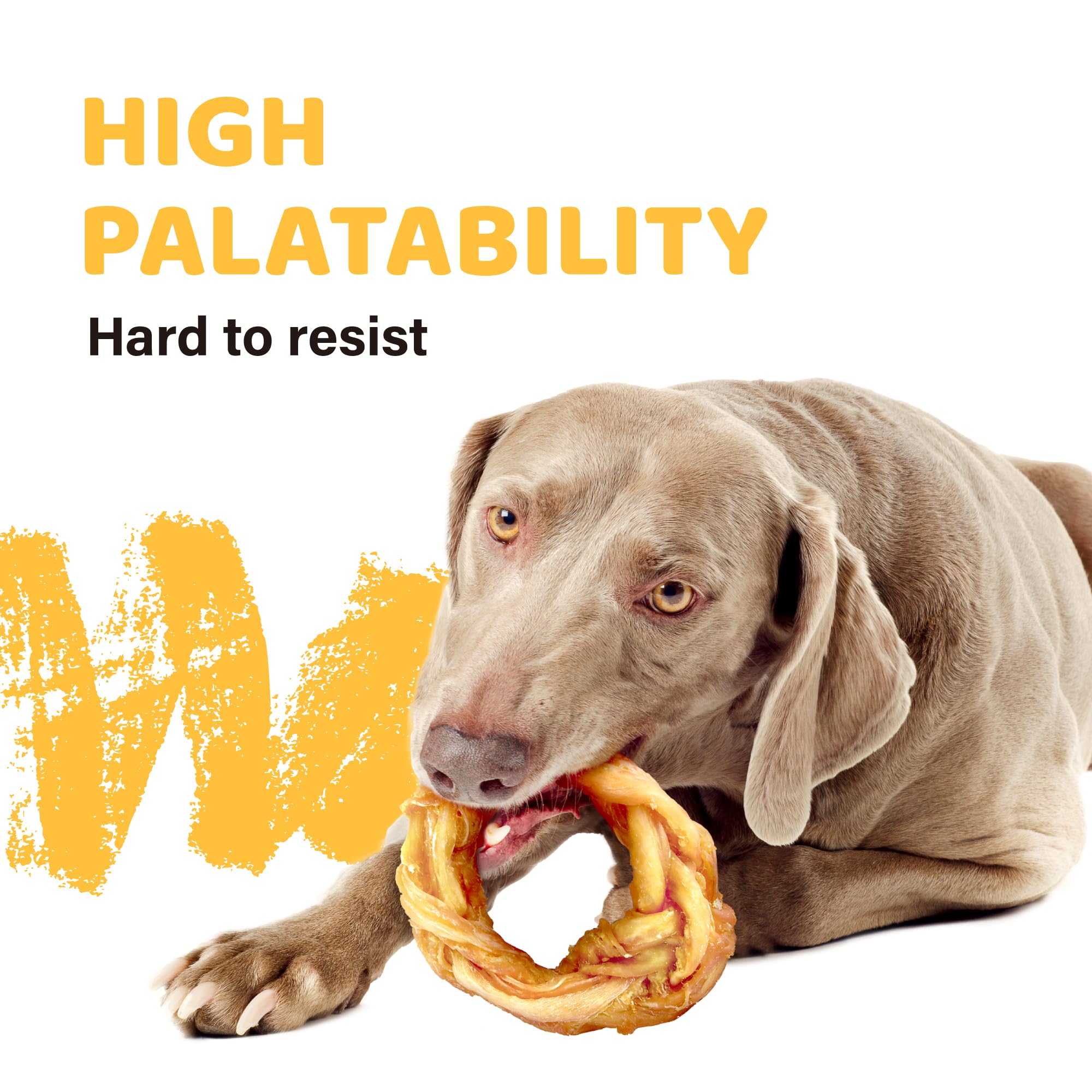 iPaw Turkey Tendon chew texture closeup demonstrates satisfying, safe daily chewing