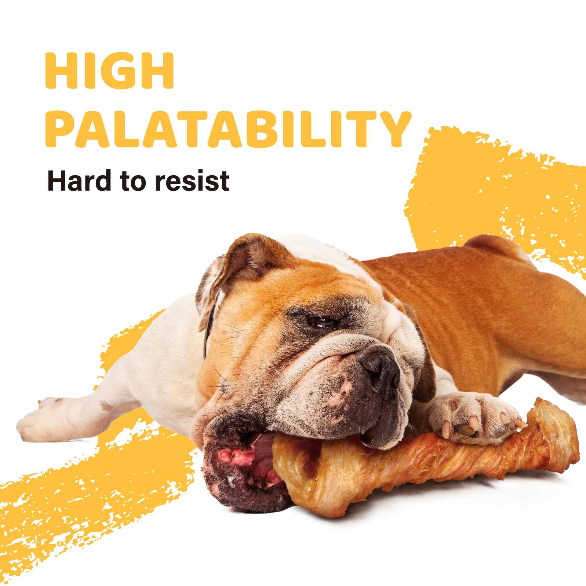 iPaw Turkey Tendon dental health concept with chewing action.