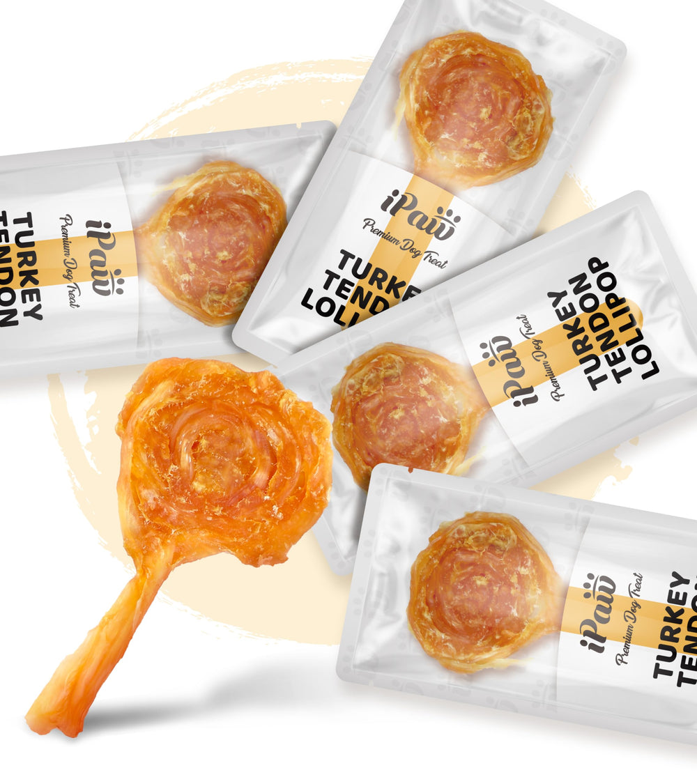 iPaw Turkey Tendon pack seen from the side, highlighting a simple, dental-friendly chew.