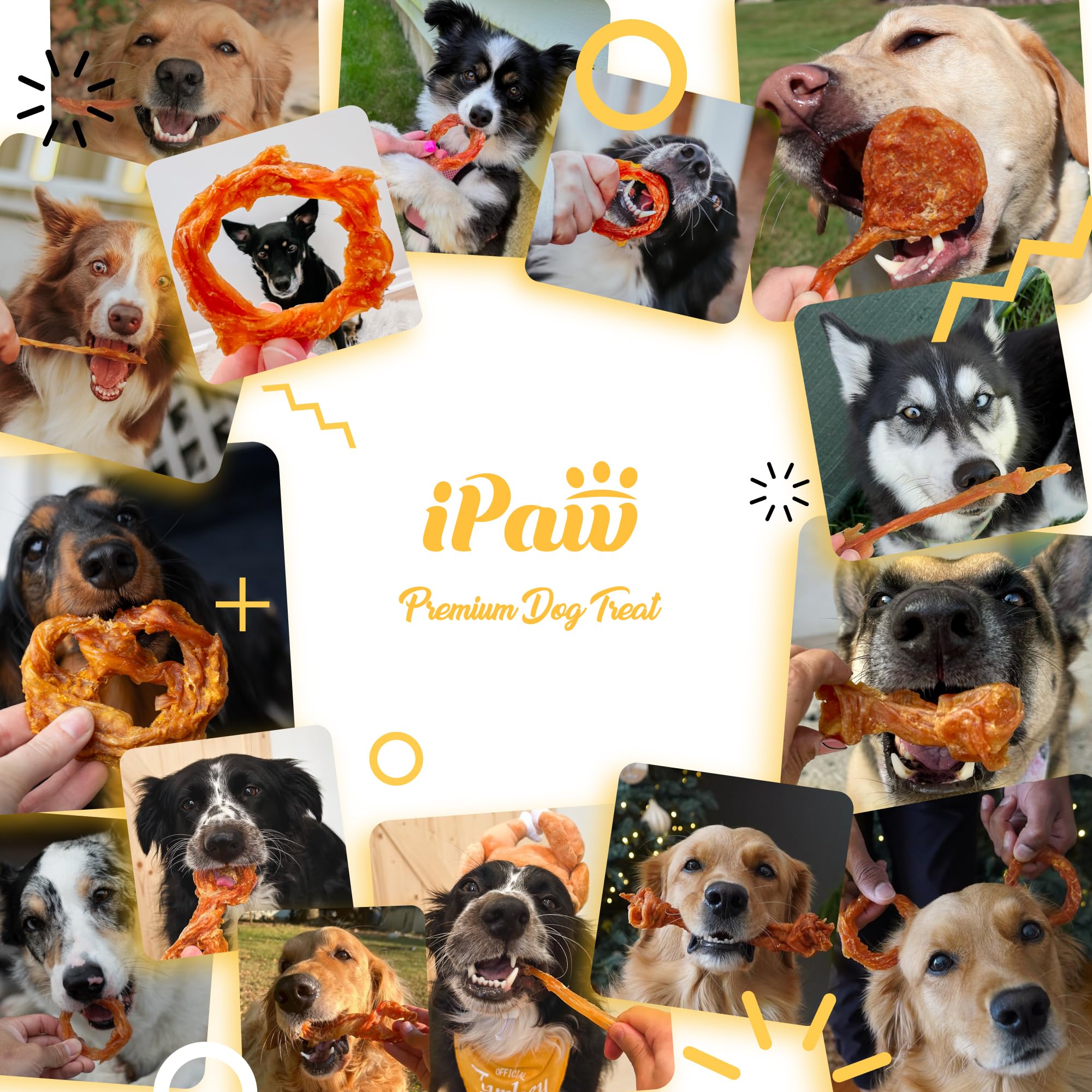 iPaw Turkey Tendons dental-benefits-demos suggests aiding plaque control during chewing.