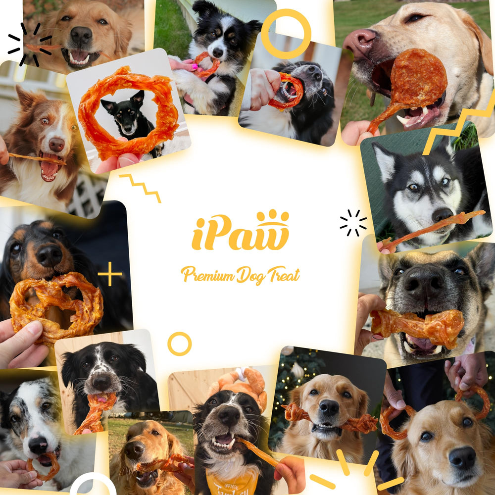 iPaw Turkey Tendons dental-benefits-demos suggests aiding plaque control during chewing.