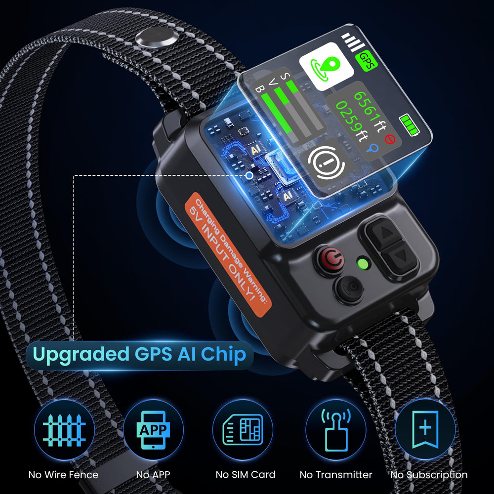 ipetlore GPS fence collar on dog reveals comfortable strap for outdoor adventures