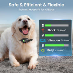 ipetlore GPS fence warning mode demonstrates audible alerts before boundary crossing