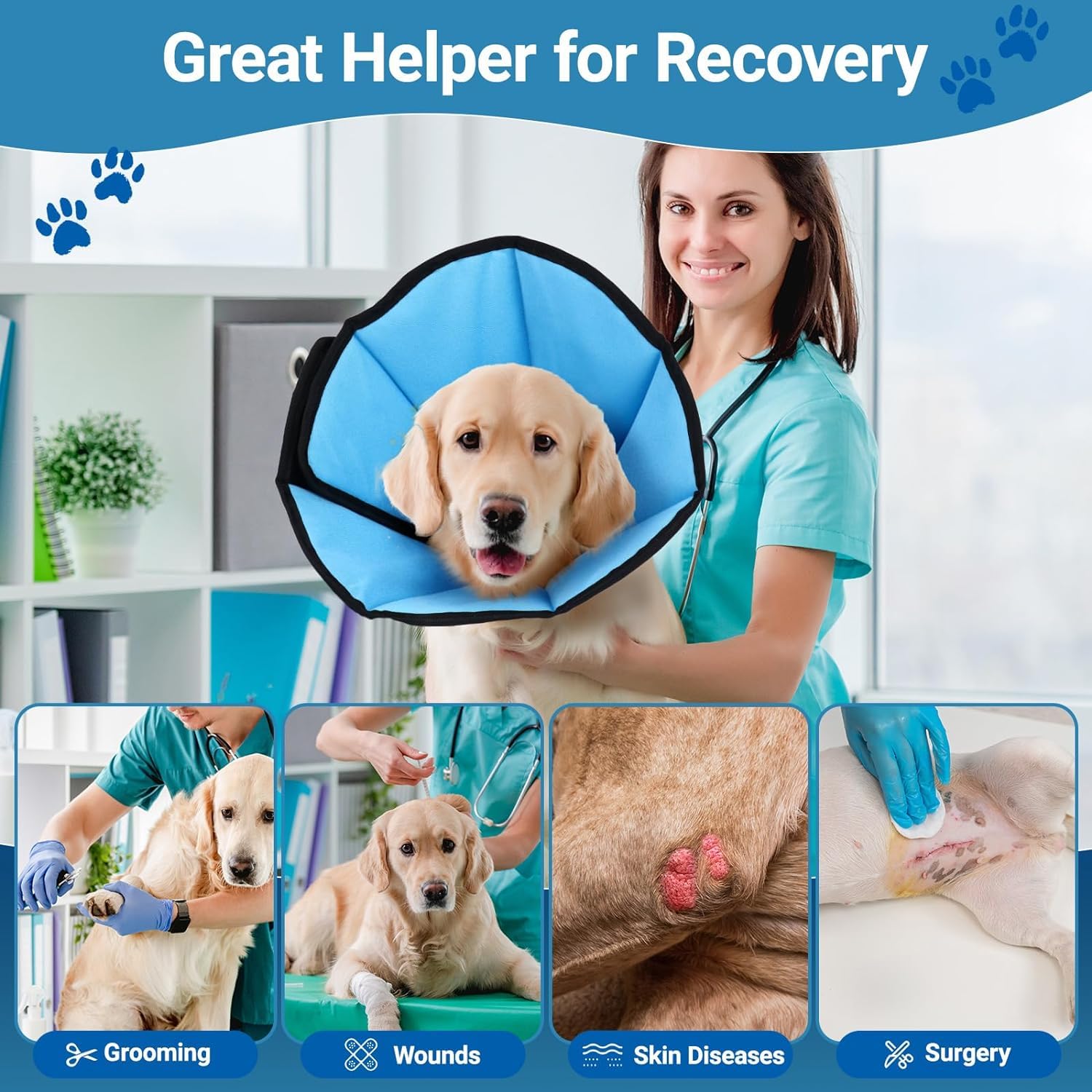 ipetstation dog cone first usage guide promotes gentle acclimation