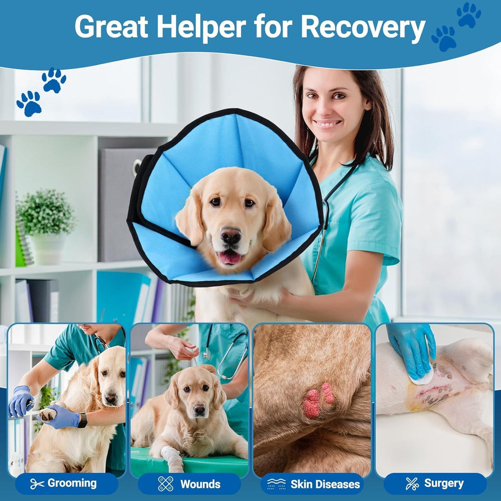 ipetstation dog cone first usage guide promotes gentle acclimation