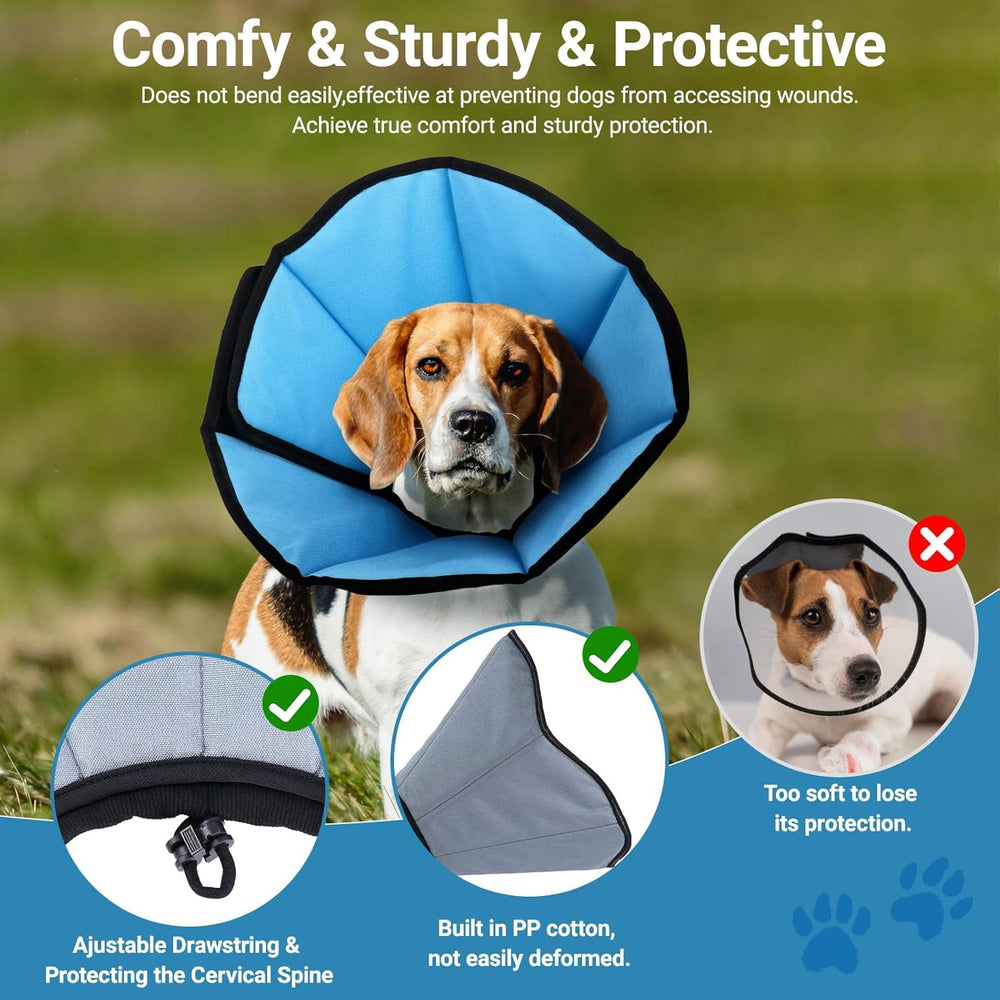 ipetstation dog cone on dog during recovery ready protection