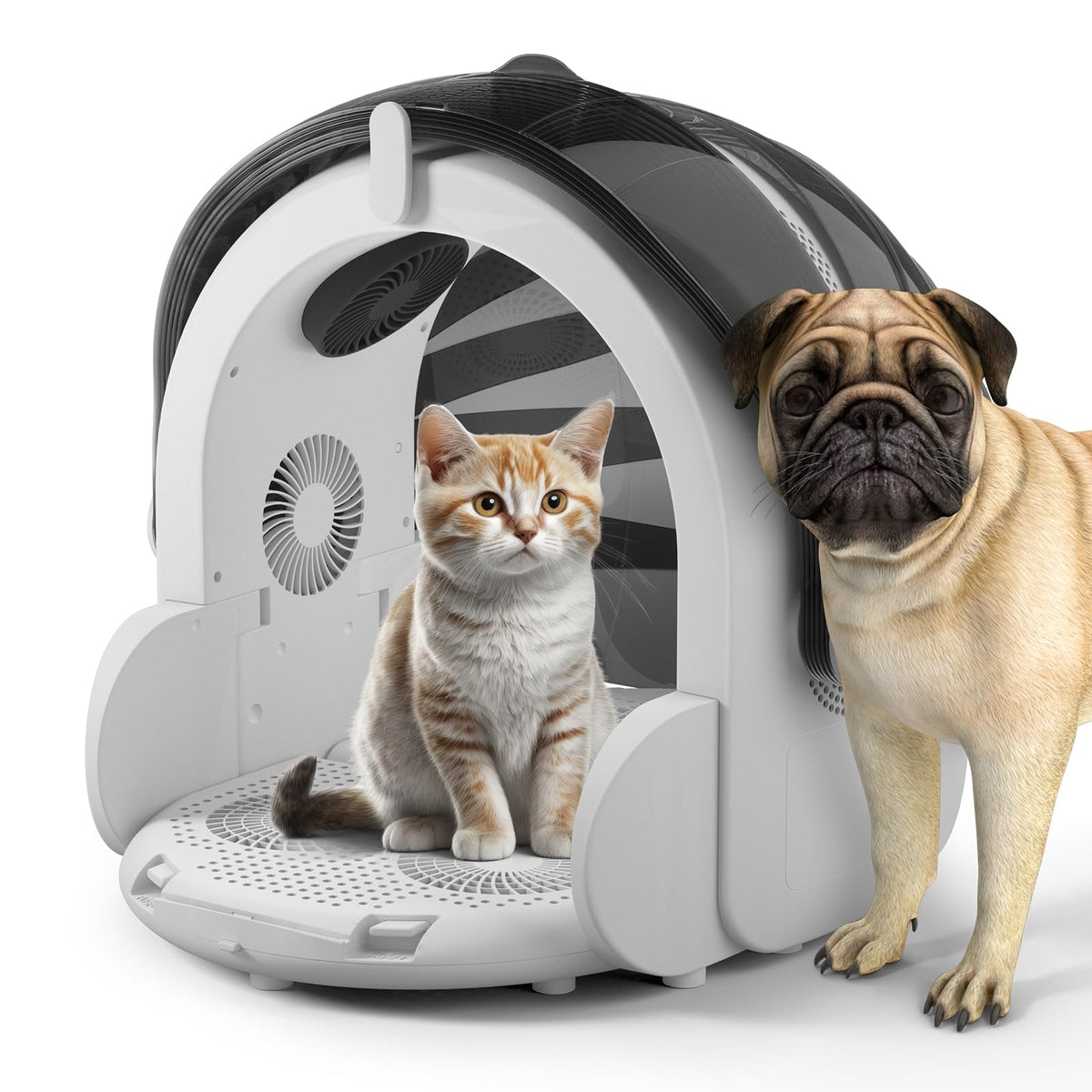 iPettie Automatic Hair Dryer Box demonstrates 360° airflow for fast, even pet drying.