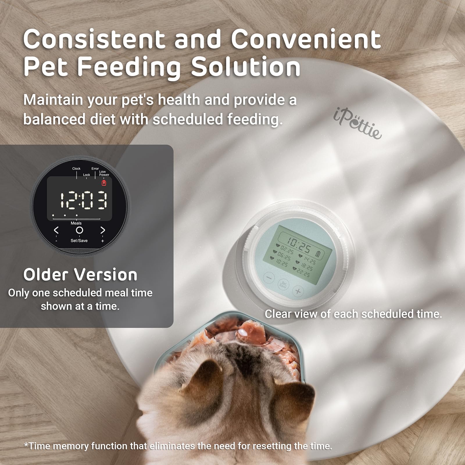 ipettie brioche feeder six-compartment tray enables multi-meal scheduling for pets