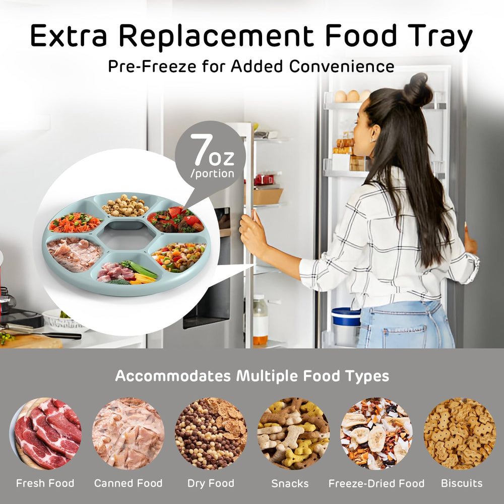 ipettie brioche feeder wet-food capability supports variety in meals for picky pets