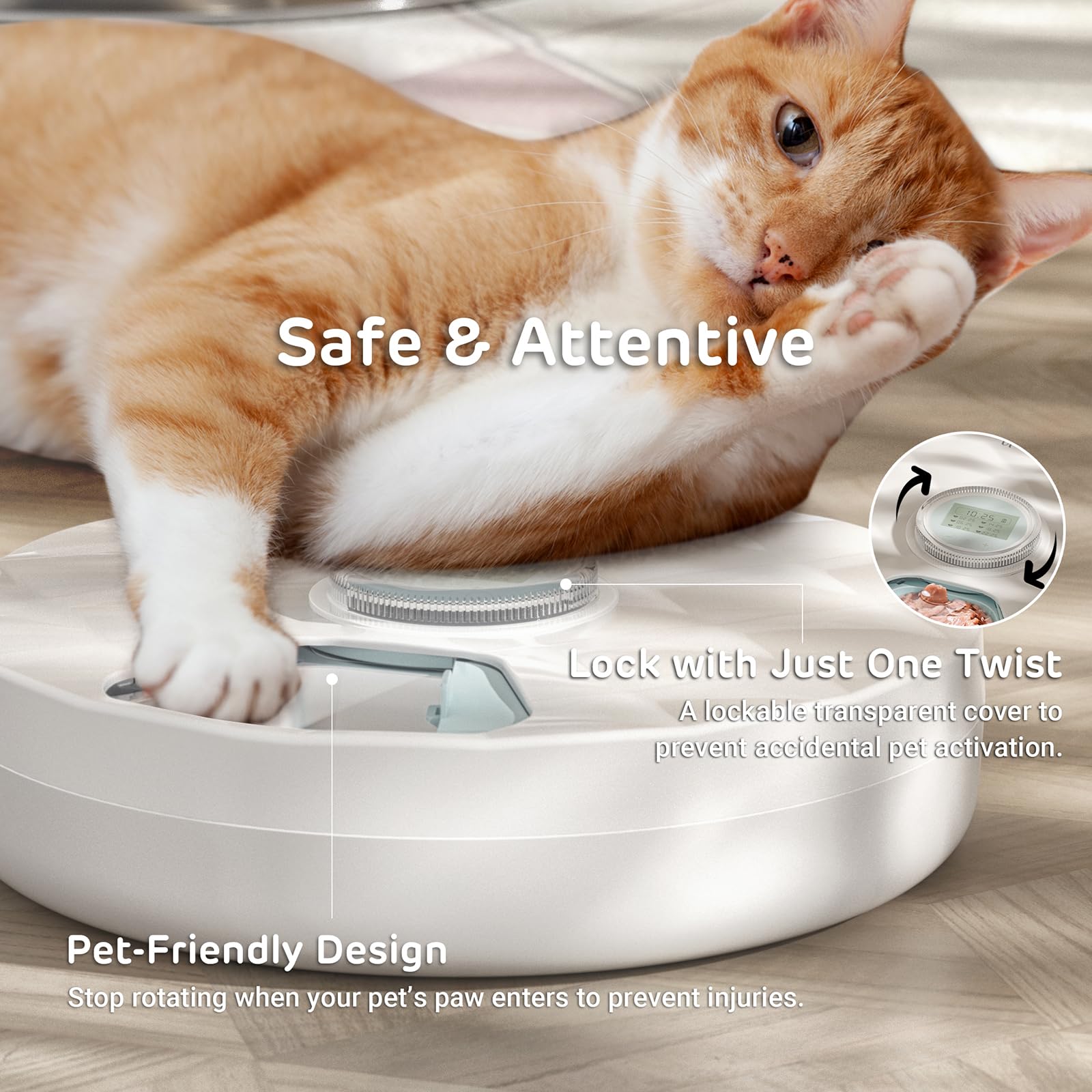 ipettie brioche ice packs keep wet food fresh for 6–8 hours