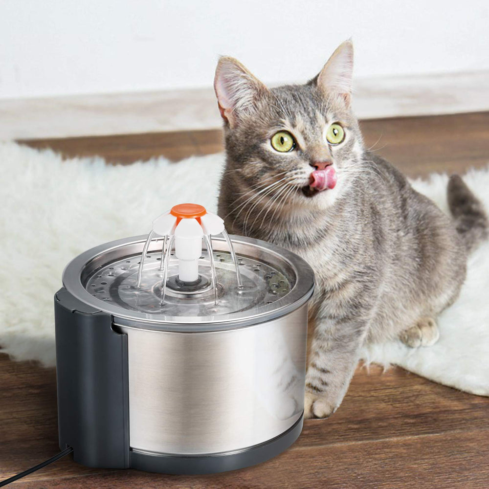 ipettie dishwasher-safe cat fountain simplifies cleaning and hygiene.