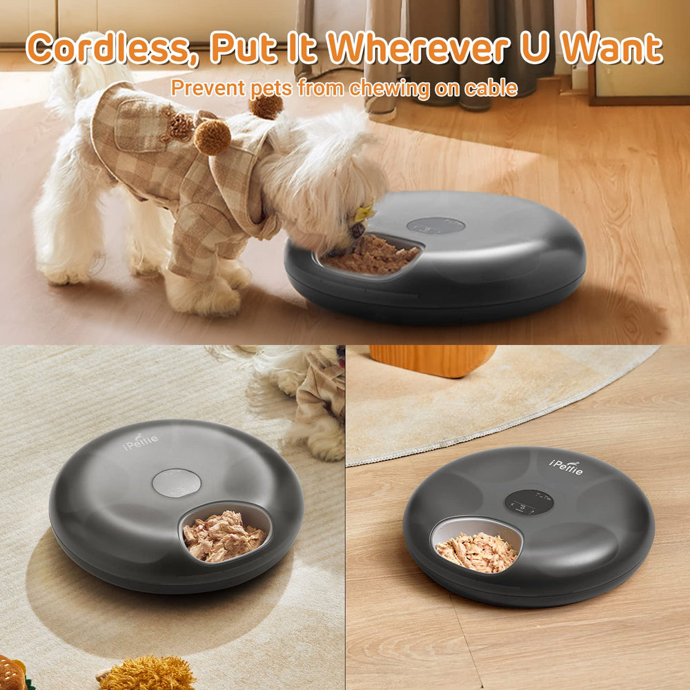ipettie Donut Frost supports dry and wet food in BPA-free tray