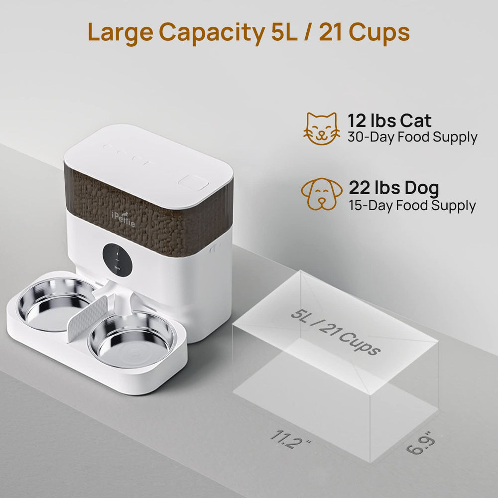 iPettie feeder with dual bowls and splitter setup for two-pet dining