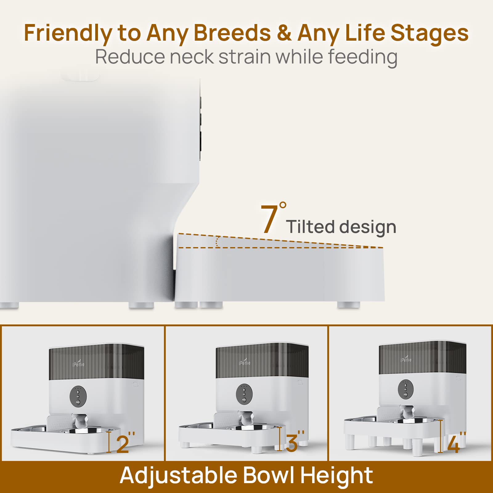 iPettie feeder elevated tilted tray reduces neck strain during feeding