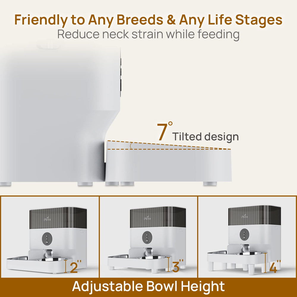iPettie feeder elevated tilted tray reduces neck strain during feeding