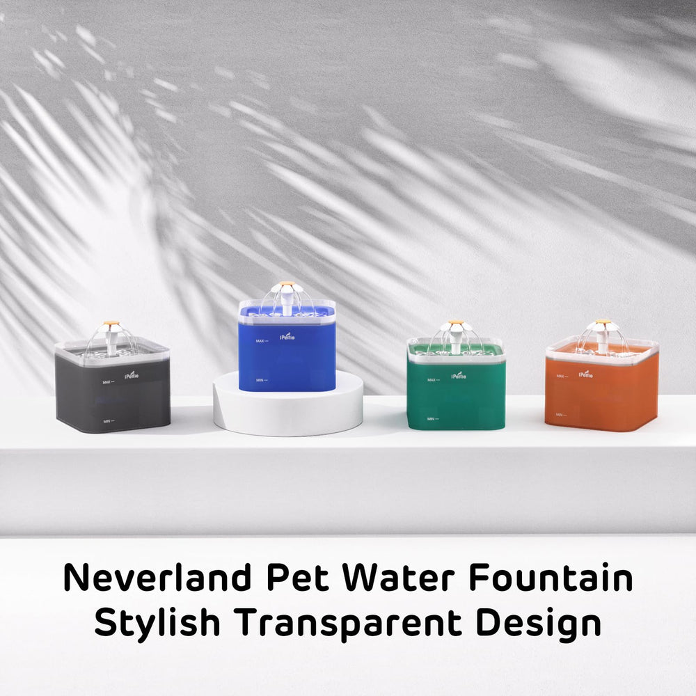ipetie Neverland fountain blue LED illuminated highlights nighttime access to water