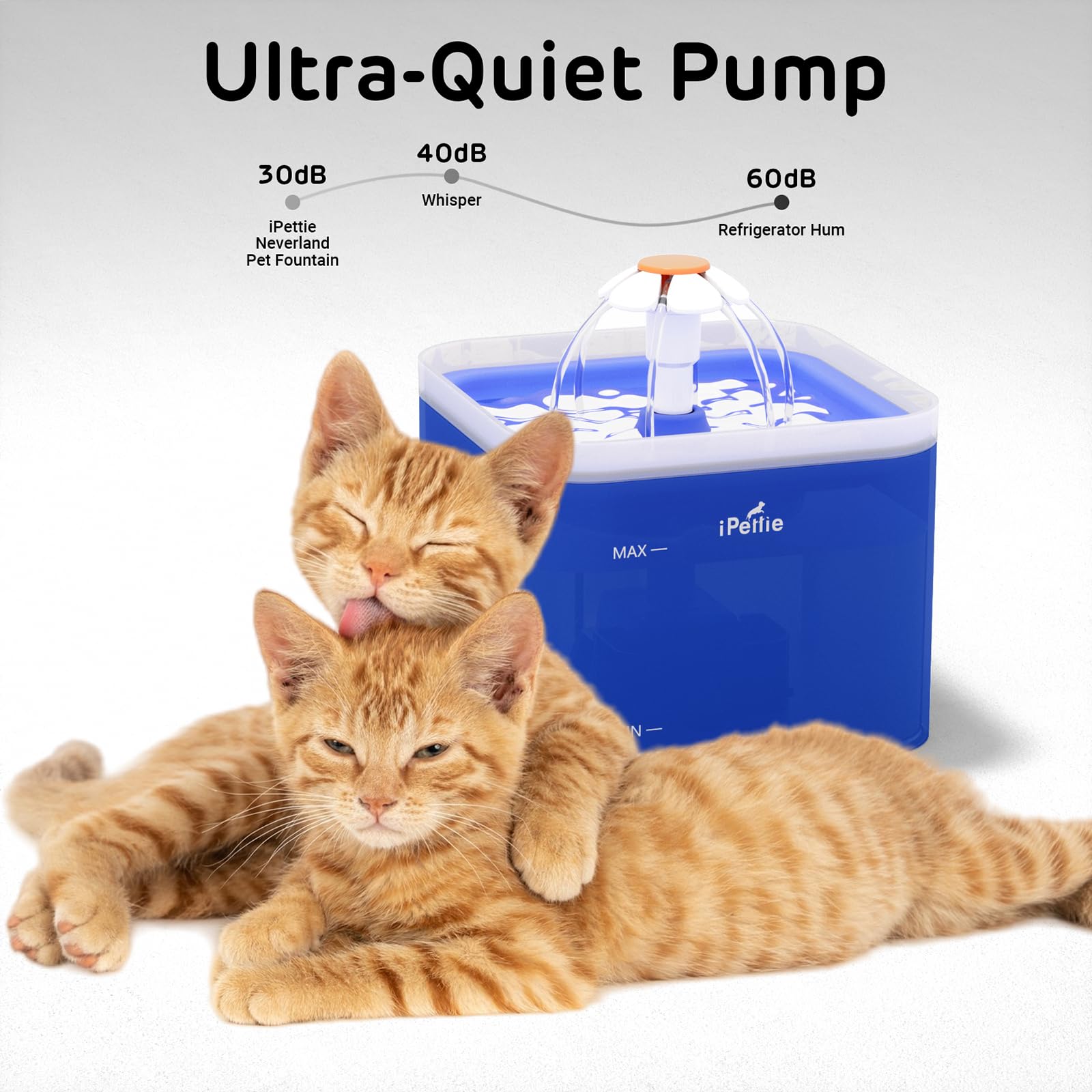ipetie Neverland fountain blue ultra-quiet pump ensures peaceful pet drinking