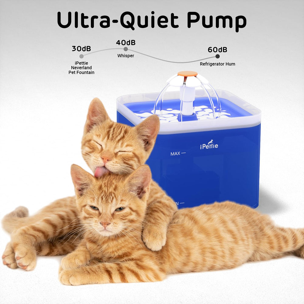 ipetie Neverland fountain blue ultra-quiet pump ensures peaceful pet drinking