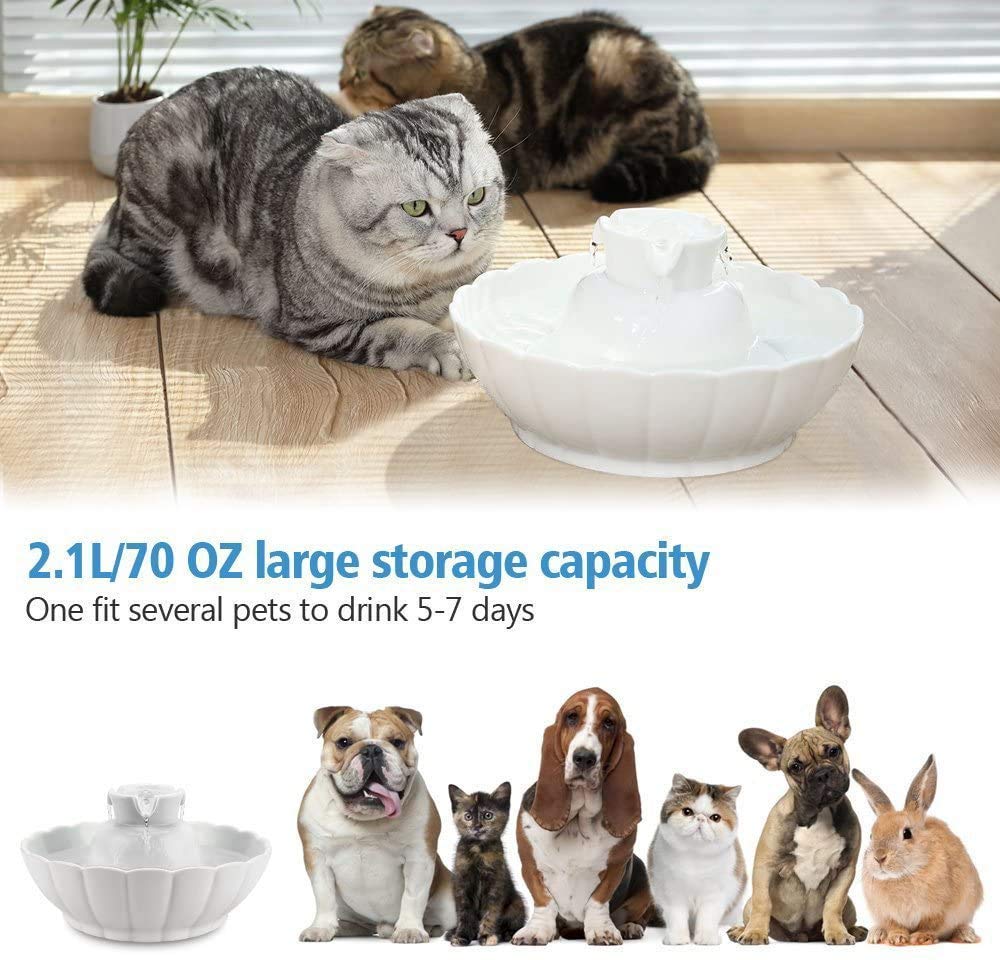 iPettie Tritone ceramic cat water fountain top view shows compact design and quiet operation.