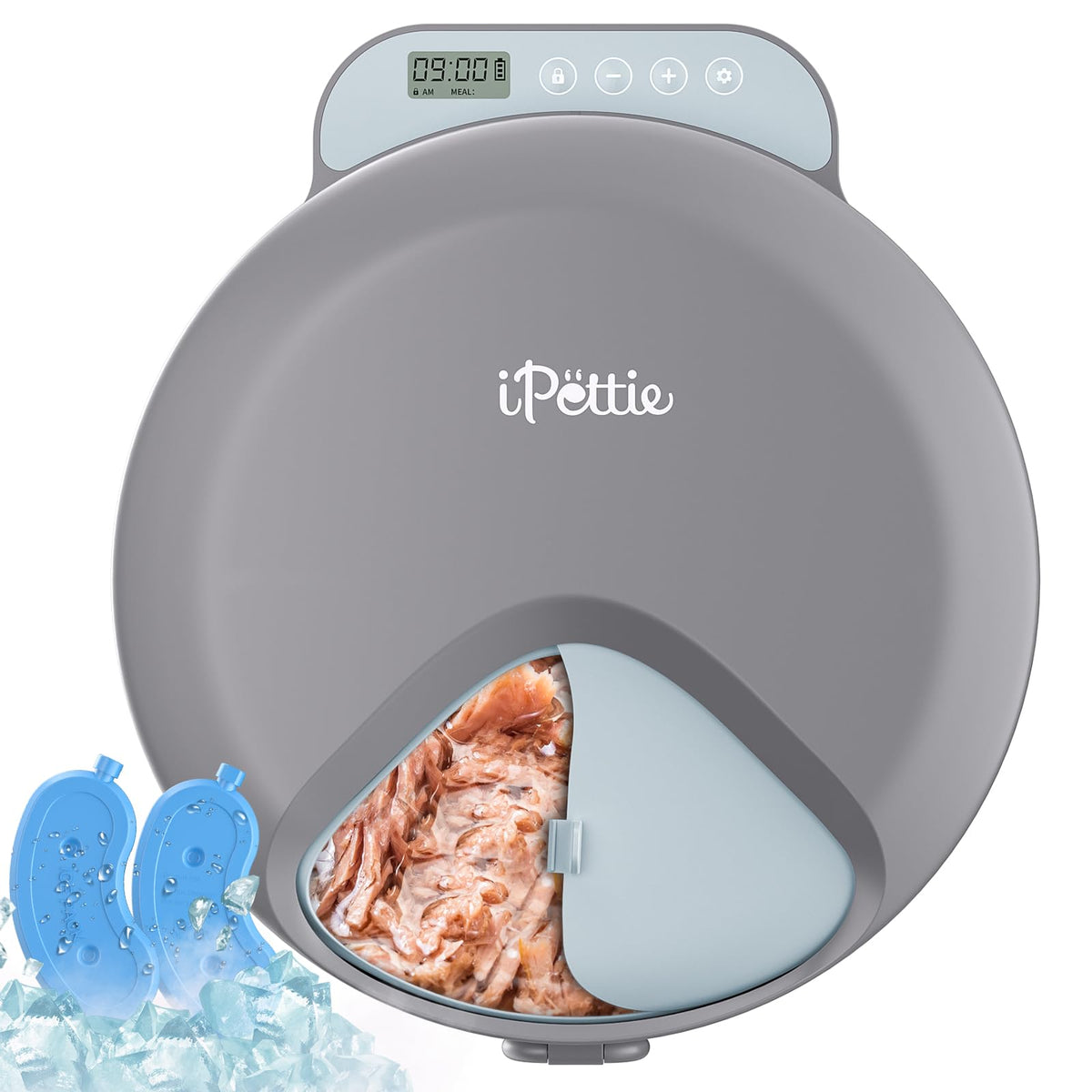 iPettie Zharko locking lid highlights secure, mess-free scheduled mealtimes for cats.