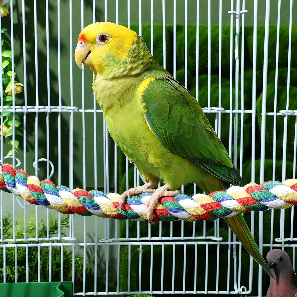 iplusmile columpio para jaula de ave, juego versatil