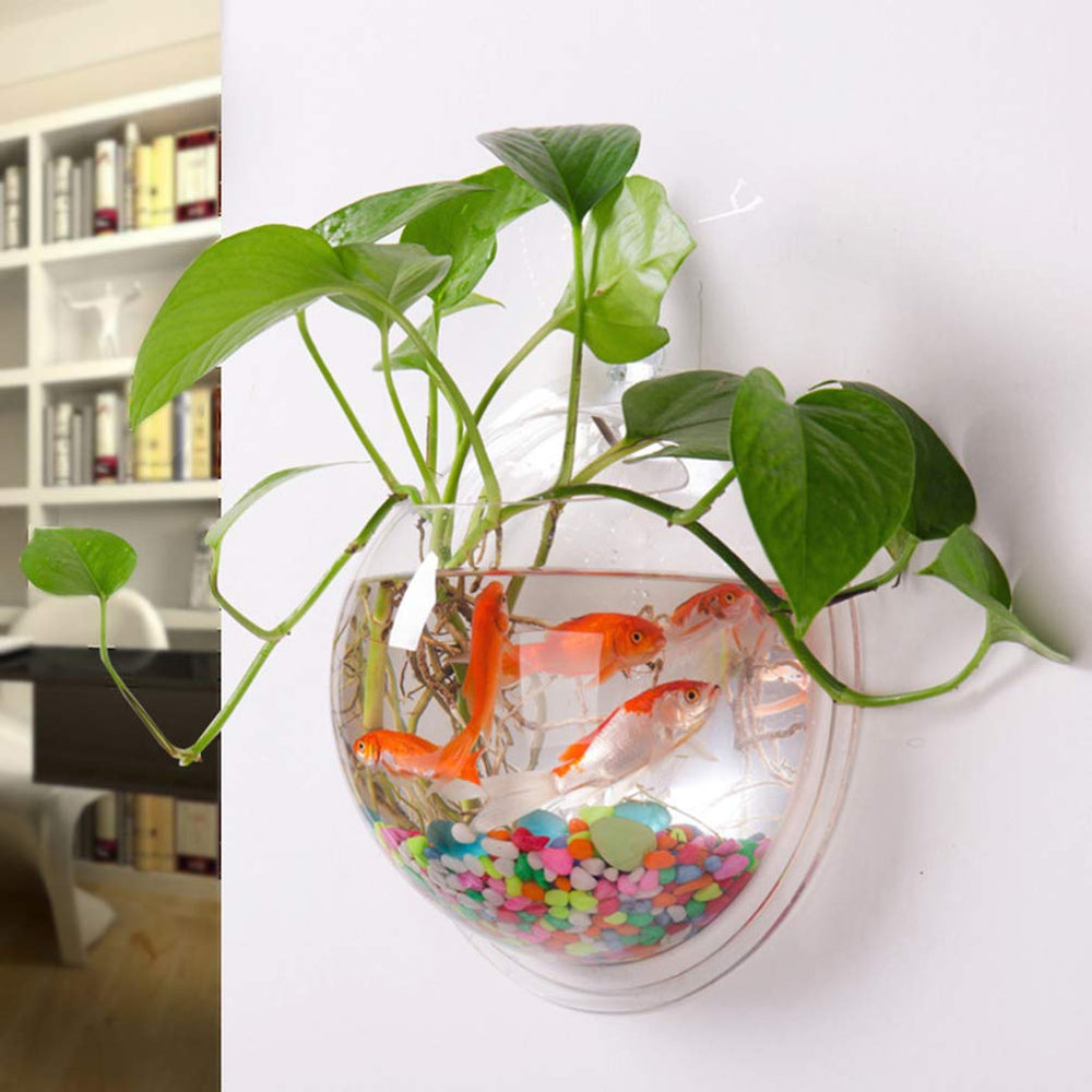 iplusmile design-forward-wall-decoration blends with interiors while housing a tiny aquatic landscape.