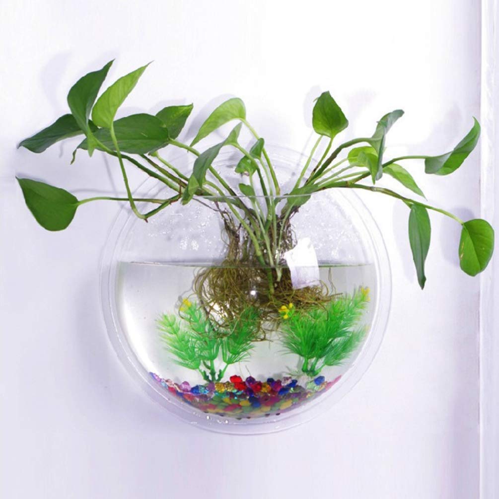 iplusmile small-fish-and-plants tank enables cozy habitat with live plants and tiny fish.