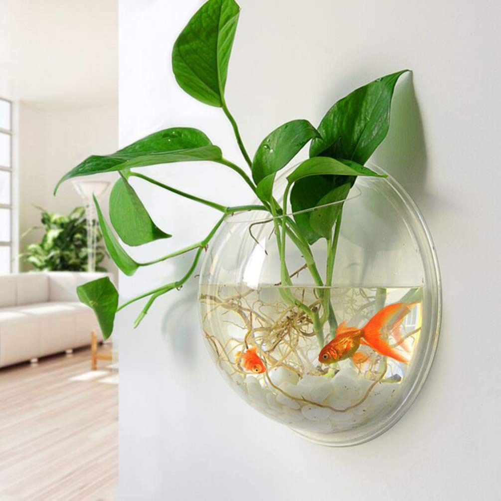 iplusmile transparent-aquarium-bowl offers unobstructed viewing of fish and plants.